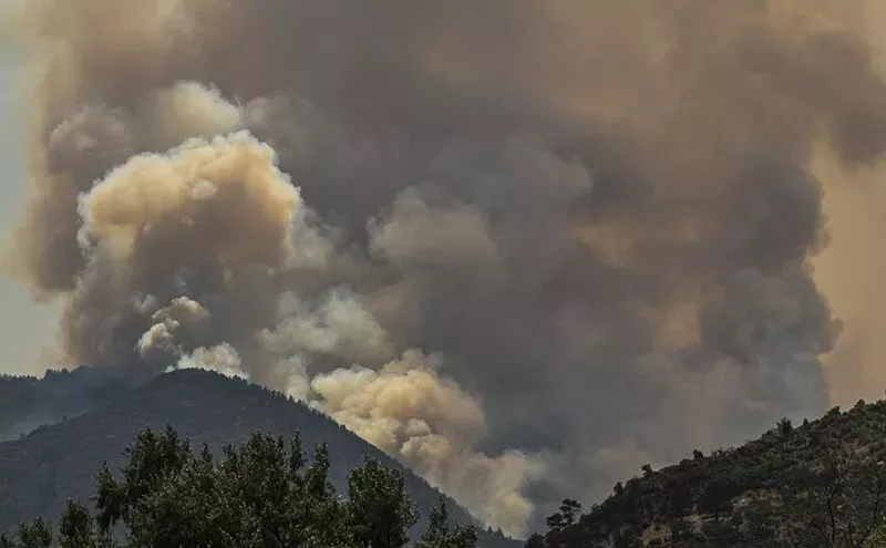 Image: Ashes to Ashes: What Do You Take When You're Fleeing a Wildfire?