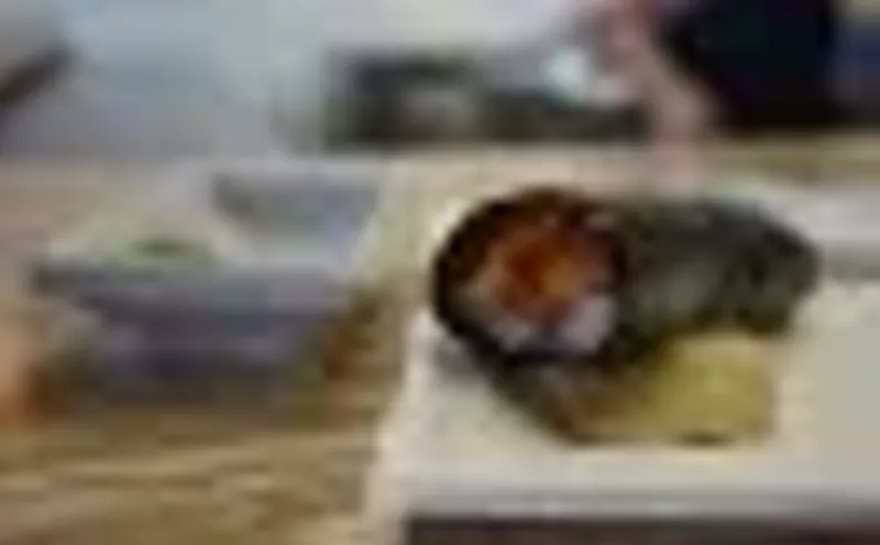 Image: Berkeley Park Sushi Co.
