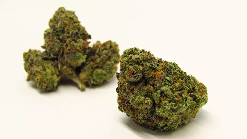 Image: Jealousy made the list of the best strains of 2021.