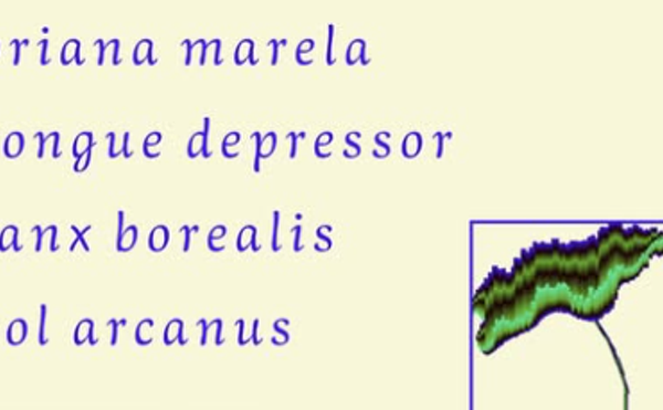 Image: Briana Marela