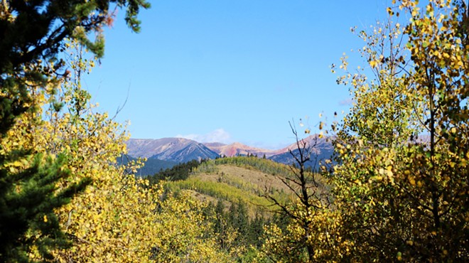 Mountain and tree views on the Colorado Trail near Kenosha Pass.