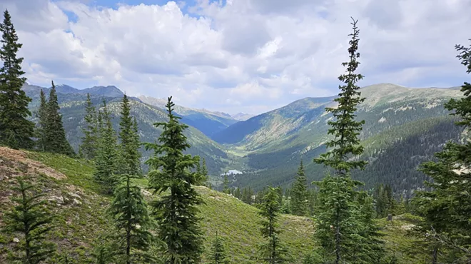 U.S. forest lands and trees in Colorado