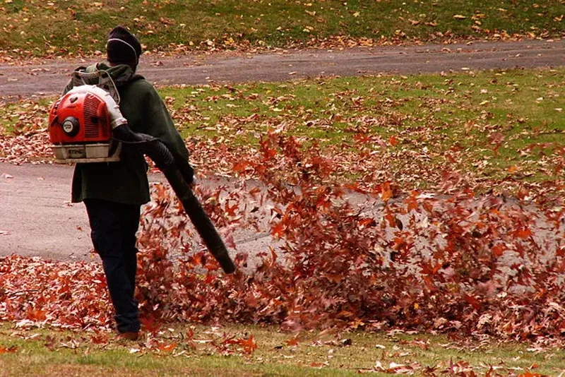 Image: Landscaper using a leaf blower to disturb fall leaves