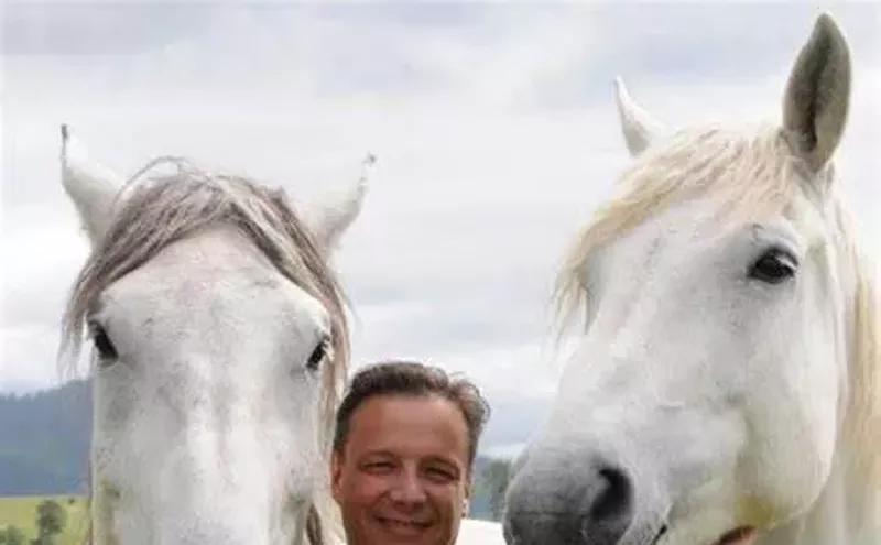 Image: Colorado and Wyoming: A Study in Contrasts on Wild Horse Policy