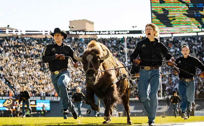 Image: Who's Replacing Ralphie? CU's Iconic Live Animal Mascot Retires.