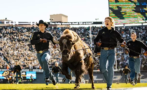 Image: Who's Replacing Ralphie? CU's Iconic Live Animal Mascot Retires.