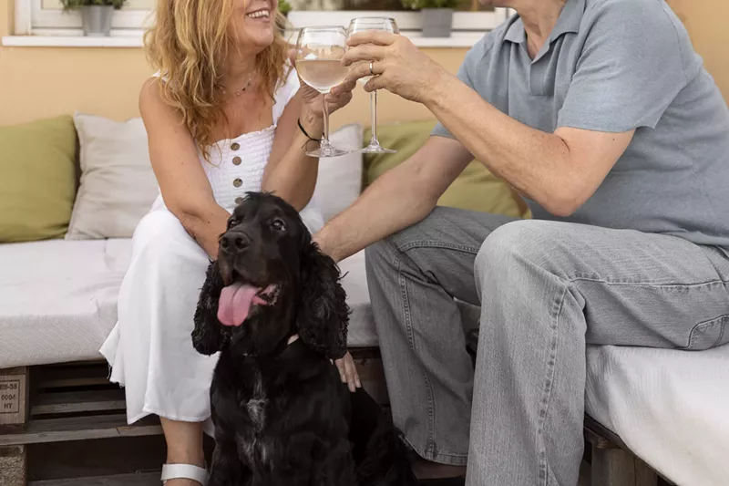 Image: Couple cheering wine glasses with a black dog