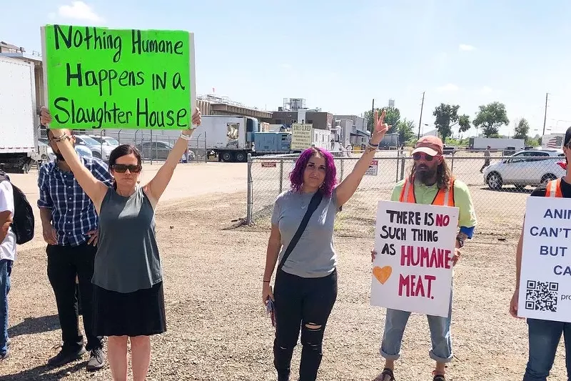 Image: Animal rights protestors hold picket signs