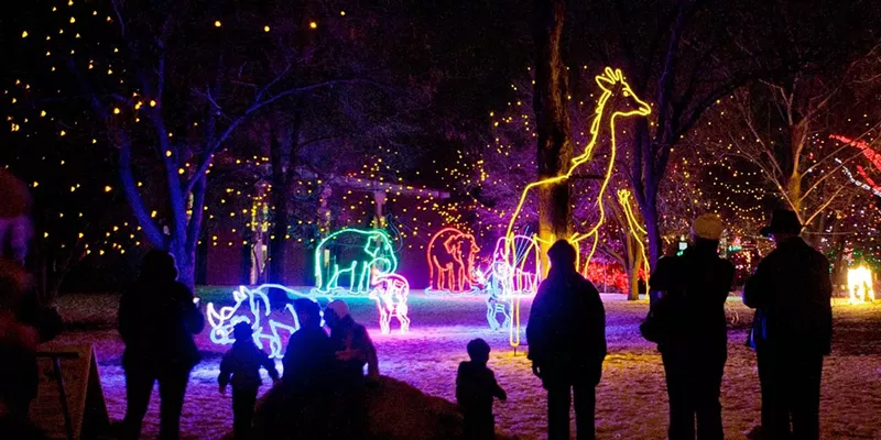 Image: lights at zoo