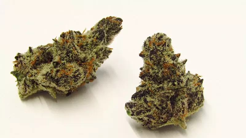 Image: Sanxland's Melonade x G41 cross was a sight to behold.