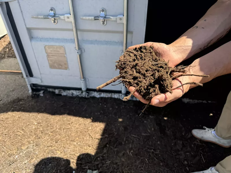 Image: Man holds composted dirt