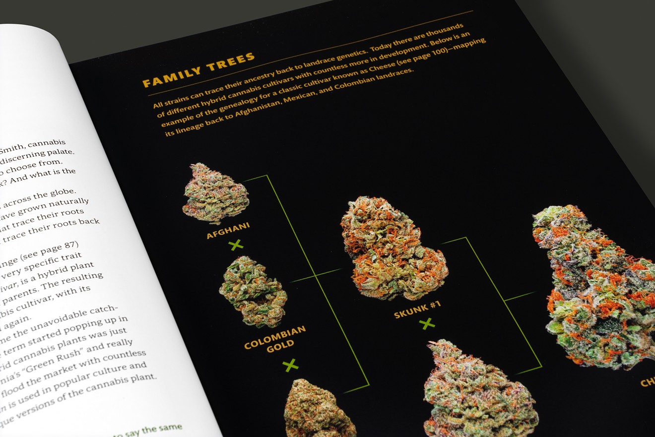 HIGHER breaks down family trees and origin stories of popular strains.