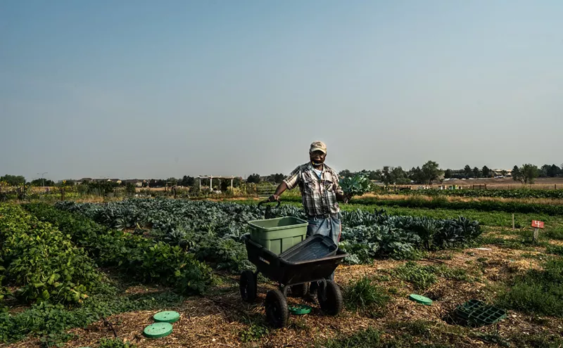 Image: Farmers' Market Finds: DeLaney Community Farm Helps Refugees Put Down Roots