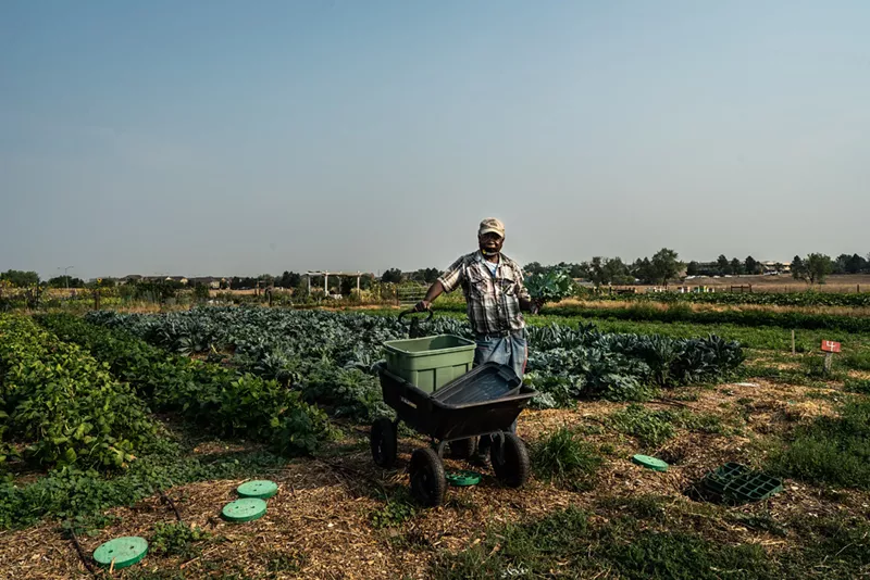 Image: Project Worthmore works to improve the lives of refugees in Colorado through several programs, including DeLaney Community Farm.
