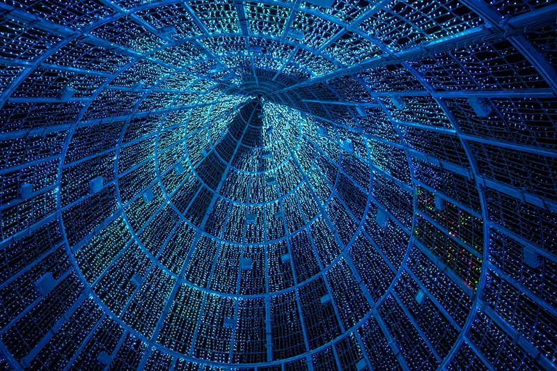 Image: Inside the Mile High Tree.