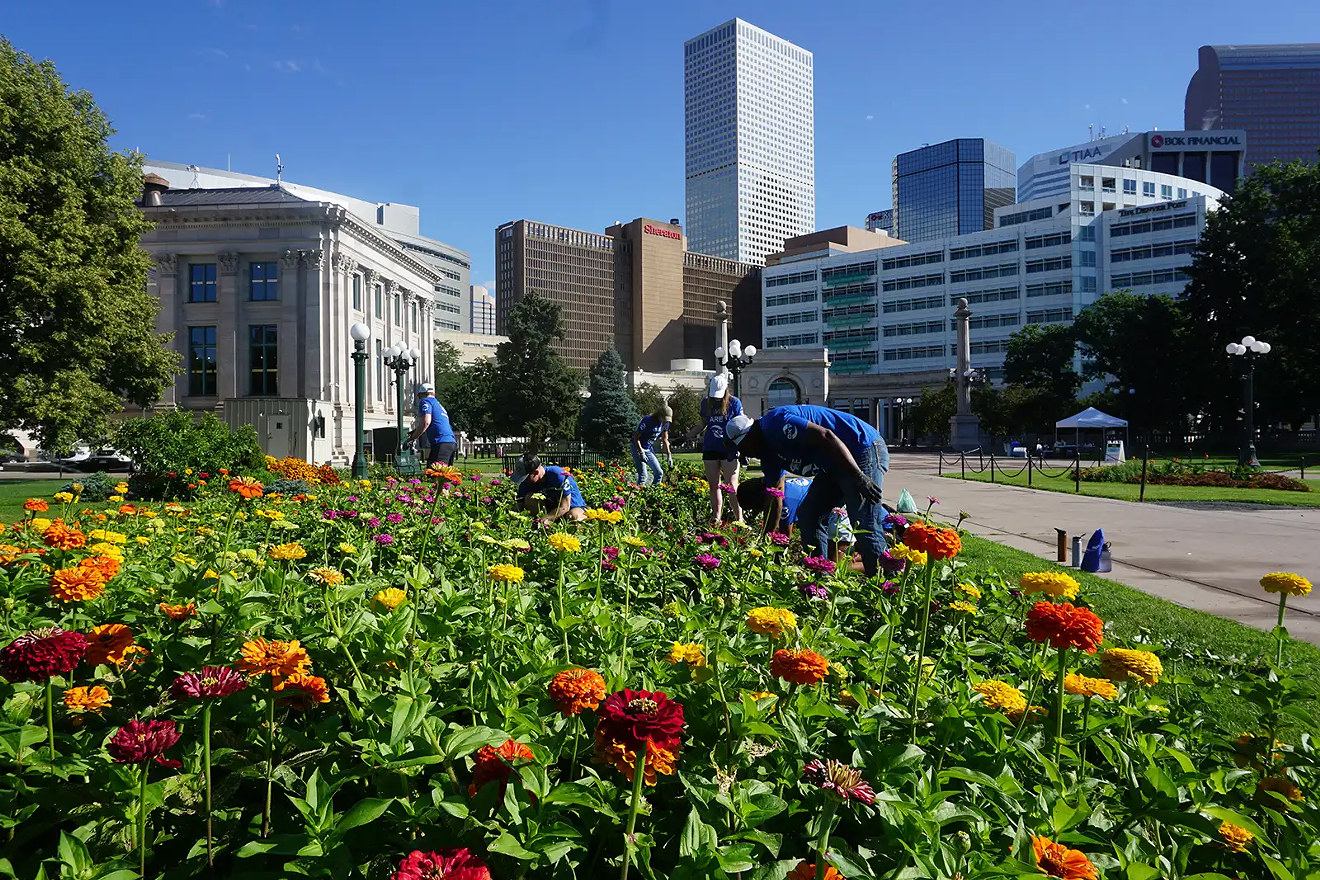 Volunteers will plant the flower beds in Civic Center Park this year.