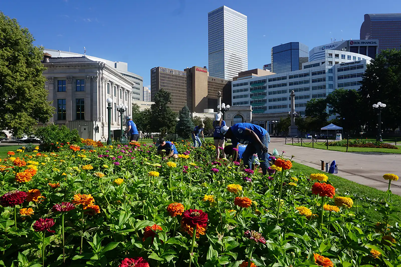 Image: people caring for flower beds in Denver park