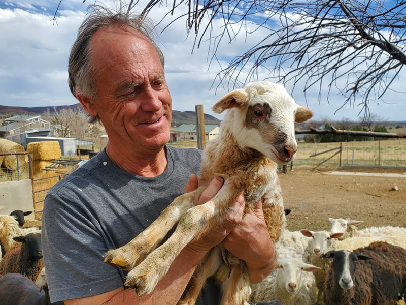 Tim Veldhuizen loves bringing new baby goats into the world.