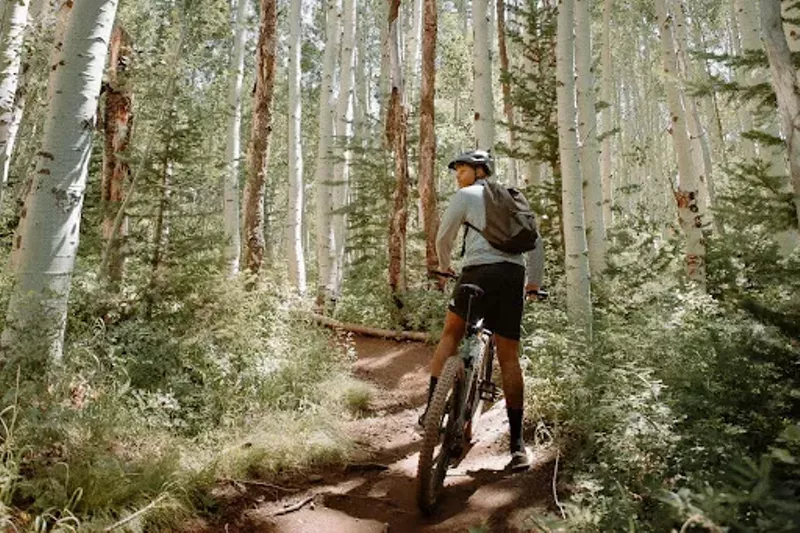 Image: mountain biker in the woods