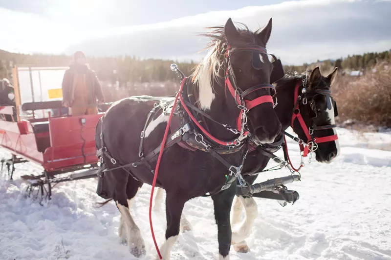 Image: Embrace a new holiday tradition.