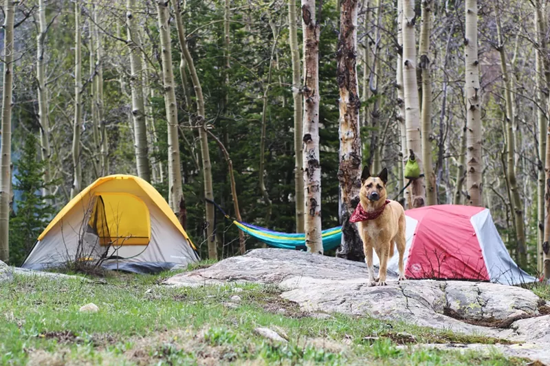 Image: Bonus points to campgrounds that allow dogs!