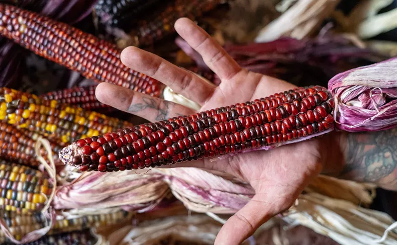 Image: Heirloom Corn Is Making Its Mark on the Modern Mexican Food Scene