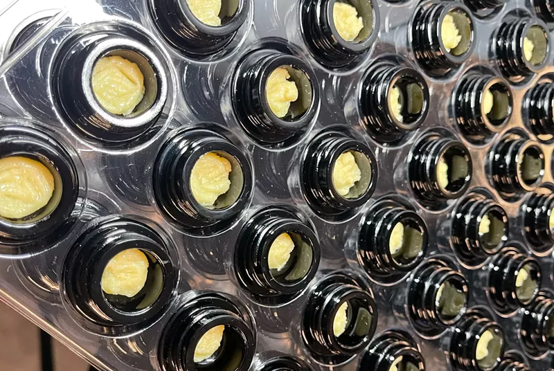 Image: Open jars of rosin hash