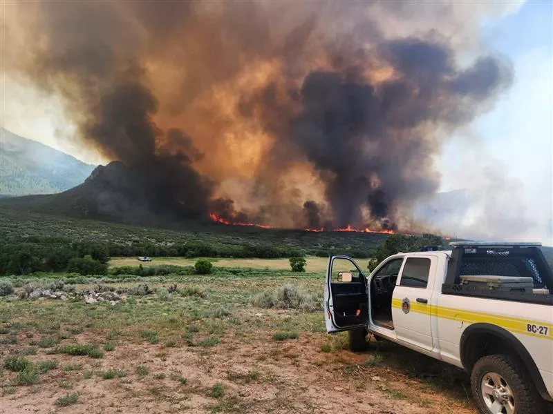 Image: The Turner Gulch fire has been burning since early July.