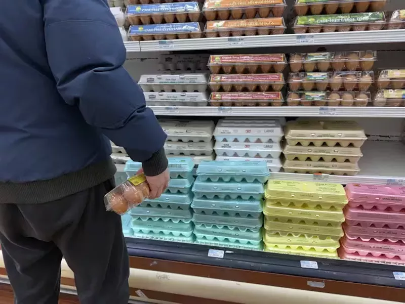 Image: eggs on the shells