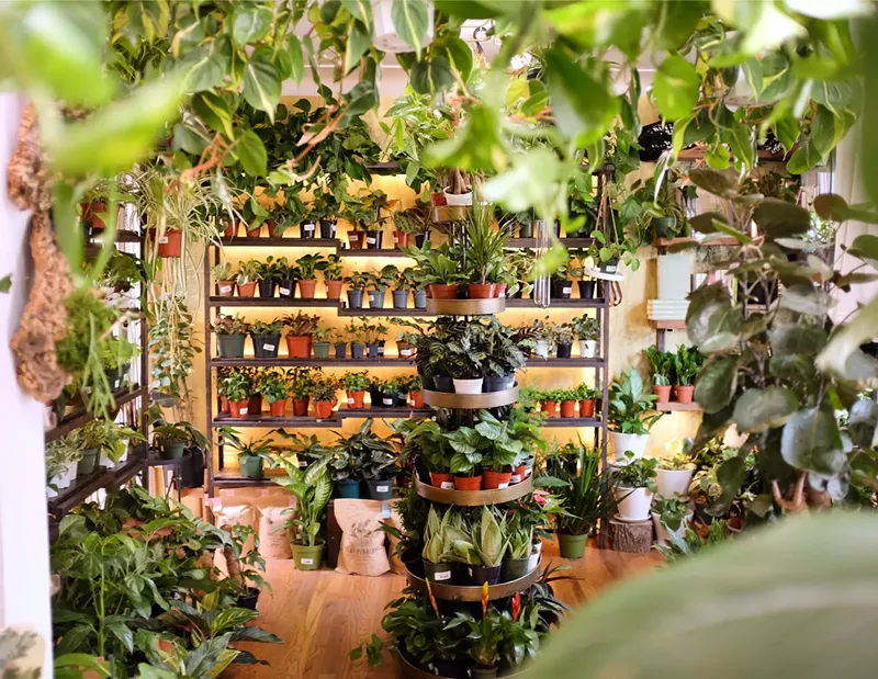 Image: ReRoot offers a variety of plants.