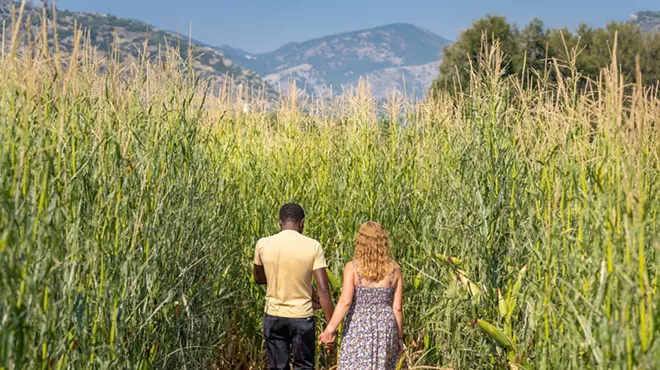 man and woman walking in corn maze