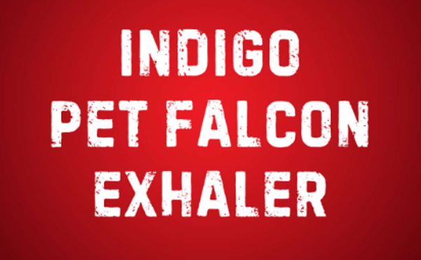 Image: Indigo