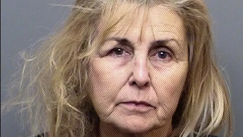 Image: Susan Holmes's 2020 booking photo.