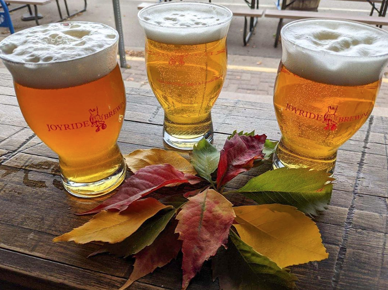Image: Delicious fresh hop beers are best consumed fresh.
