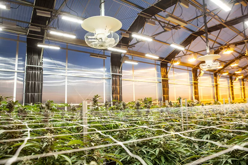 Image: Previous attempts to bring recreational sales to Colorado Springs have failed.