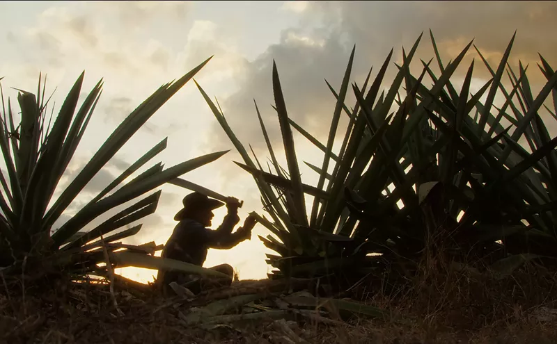 Image: Local Filmmaker's Mezcal Documentary Is Now Streaming on Amazon Prime, Apple TV and More