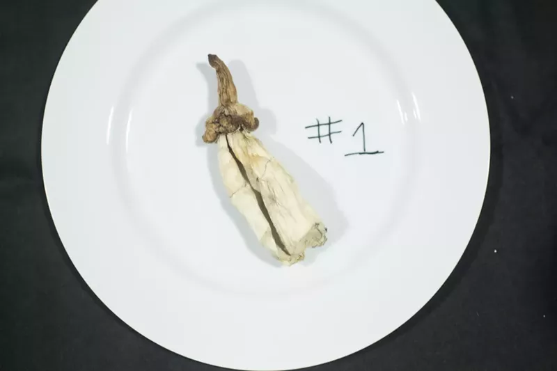 Image: white psychedelic mushroom on a plate