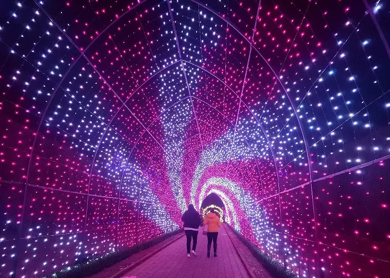 Image: Check out the new, massive light tunnel at the Denver Botanic Gardens.