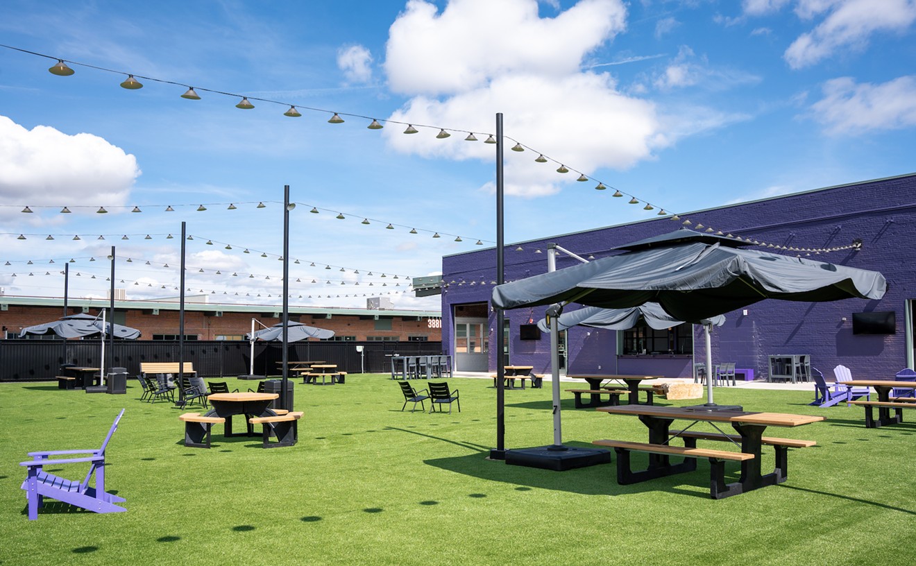 Massive Off-Leash Dog Park With On-Site Bar Is Now Open at York Street Yards