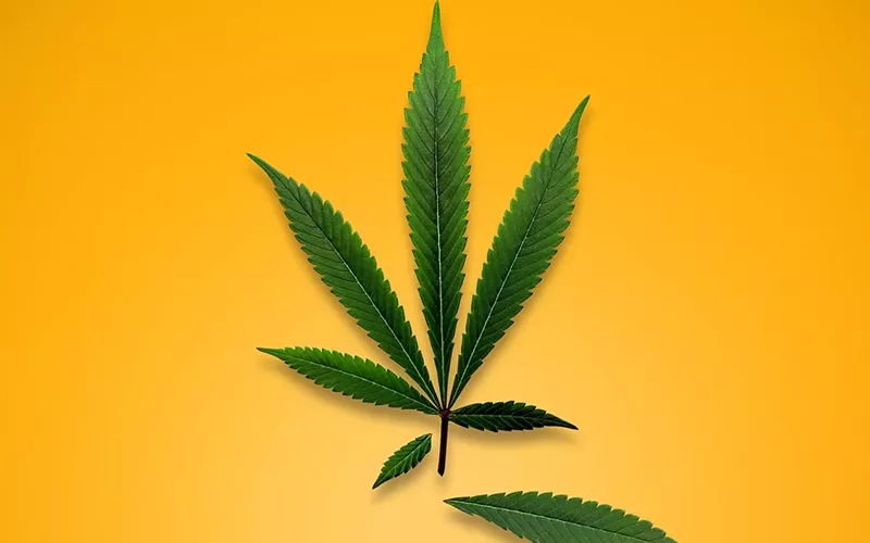 Image: Medical marijuana patients say Colorado's program needs some major fixes, but they can't find enough lawmakers to agree.