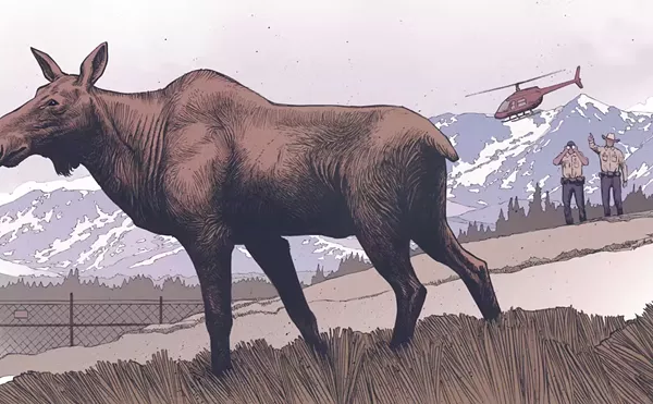 Image: Moose Have Lived in Colorado for Centuries: Unpacking the Evidence
