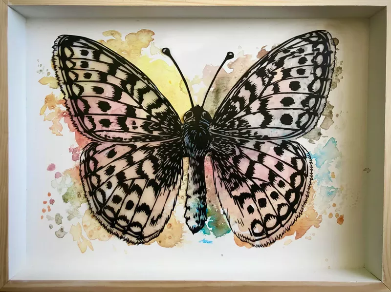 Image: A butterfly print by Faith Williams at Edge Gallery.