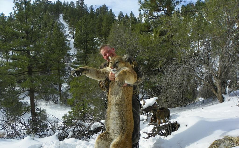 Image: Commentary: Hunting for Signatures on the Cats Aren't Trophies Petition Trail