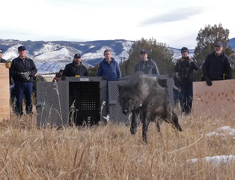 Image: men and a wolf