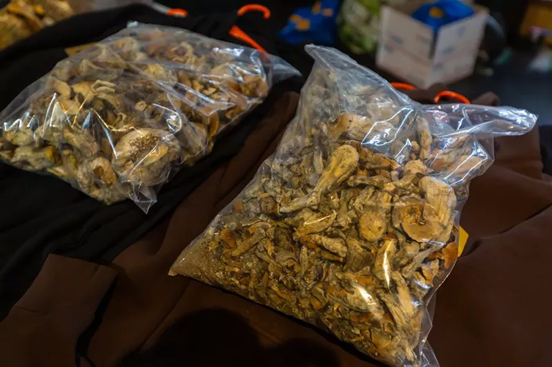 Image: Bags of psilocybin magic mushrooms