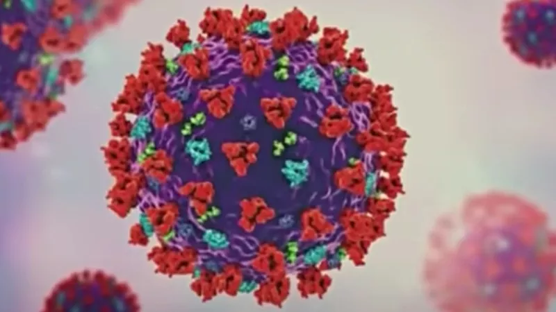 Image: A graphic depiction of the Omicron variant of COVID-19.