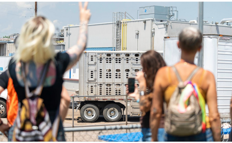 Image: Opinion: Denver Should Leave Slaughterhouses Behind