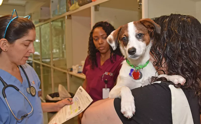 Image: Opinion: Proposition 129 Will Help People and Pets in Colorado