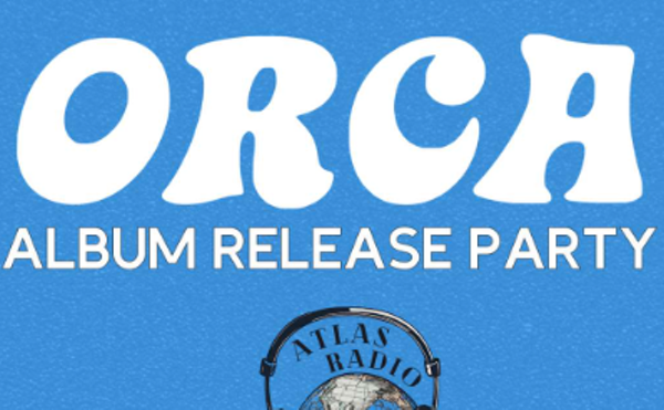 Image: Orca