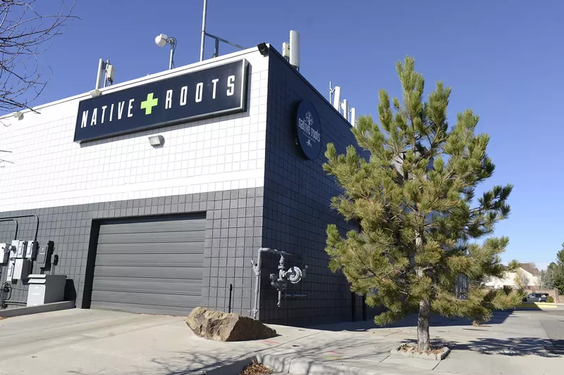 Image: At twenty stores, Native Roots is one of Colorado's largest dispensary chains.